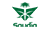Saudi Arabian Airlines